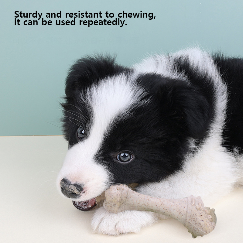 Teeth Cleaning Dog Chew Bone - ของเล่นสัตว์เลี้ยง 12 ซม. ขนมขัดฟันรูปกระดูกสำหรับสุนัข ช่วยขัดฟันและเสริมความแข็งแรงของฟัน รสเนื้อวัว