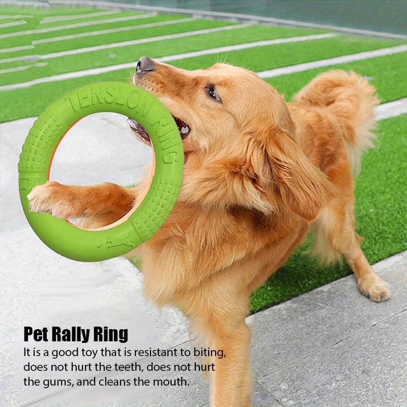 ดิสก์ของเล่นฝึกฝนสำหรับสุนัขขอ - Flying Disc Dog Training Toy บทวิจารณ์และราคา