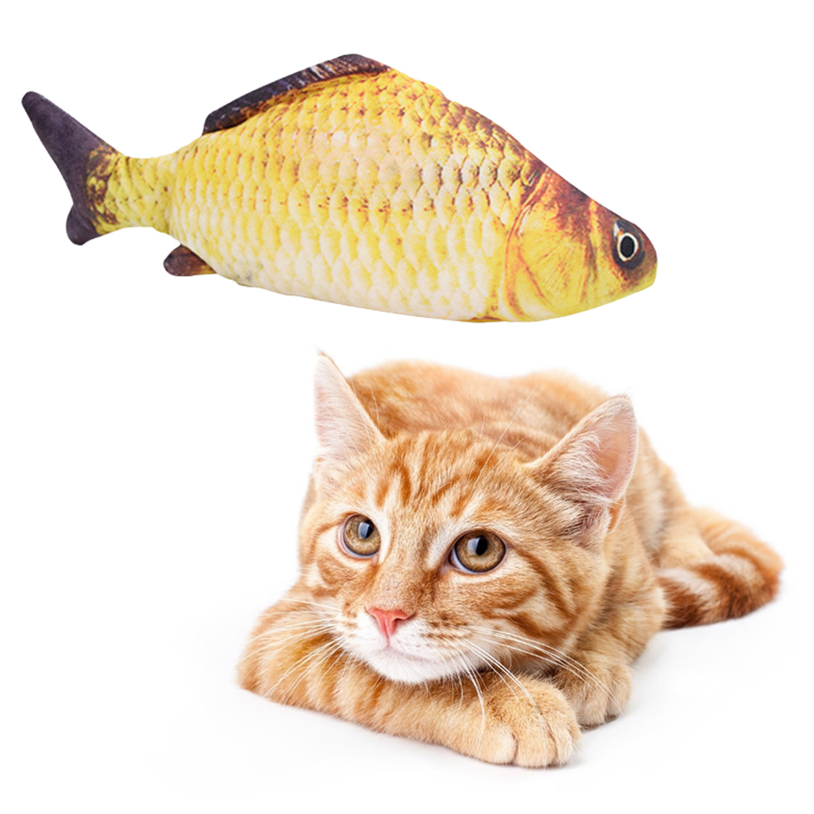 ของเล่นแมวรูปปลา ชาร์จด้วย USB - Electric Floppy Fish Dog Toy บทวิจารณ์และราคา