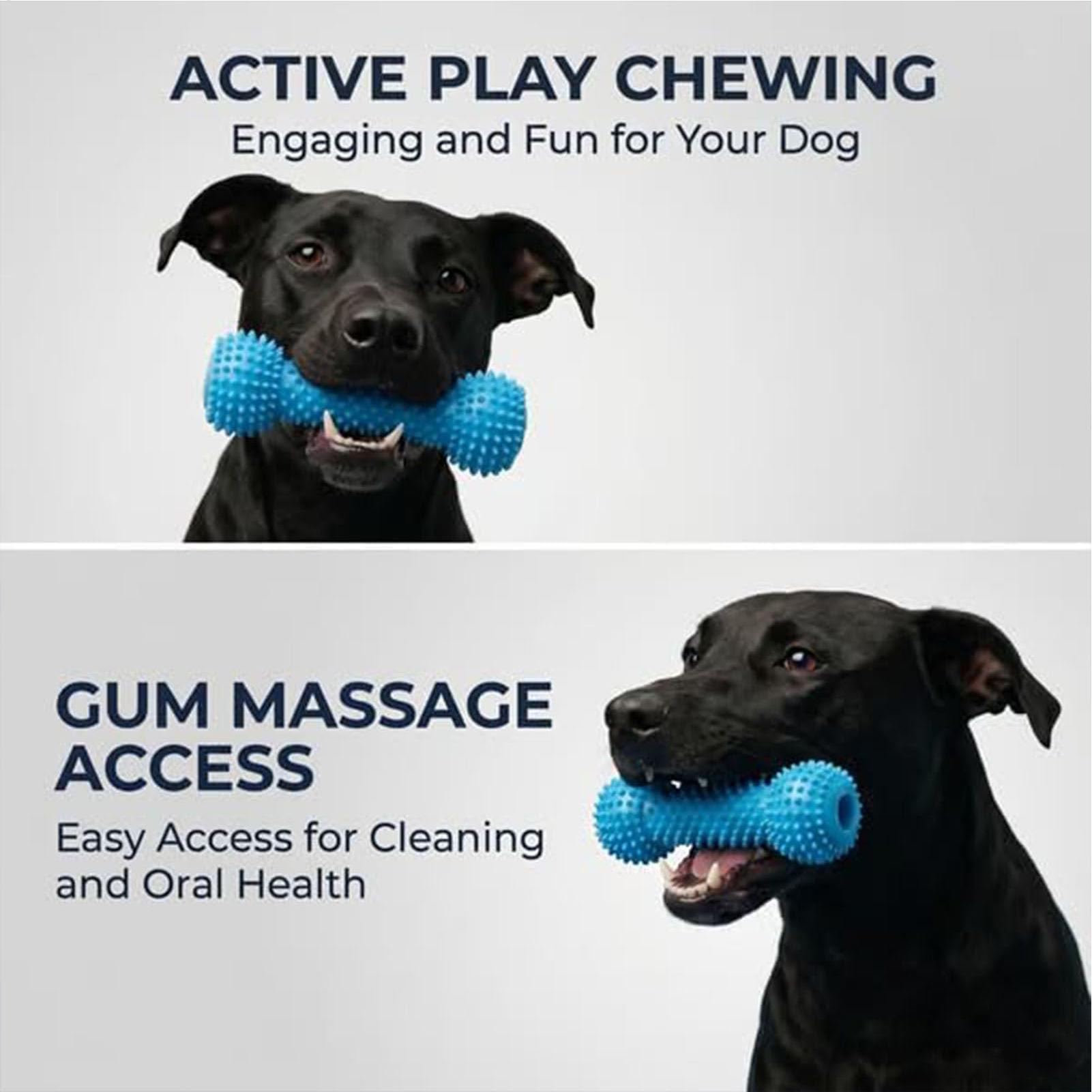 ของเล่นแปรงฟันสำหรับสุนัข ไม้ก - Rubber Treat Dispensing Dog Toy บทวิจารณ์และราคา