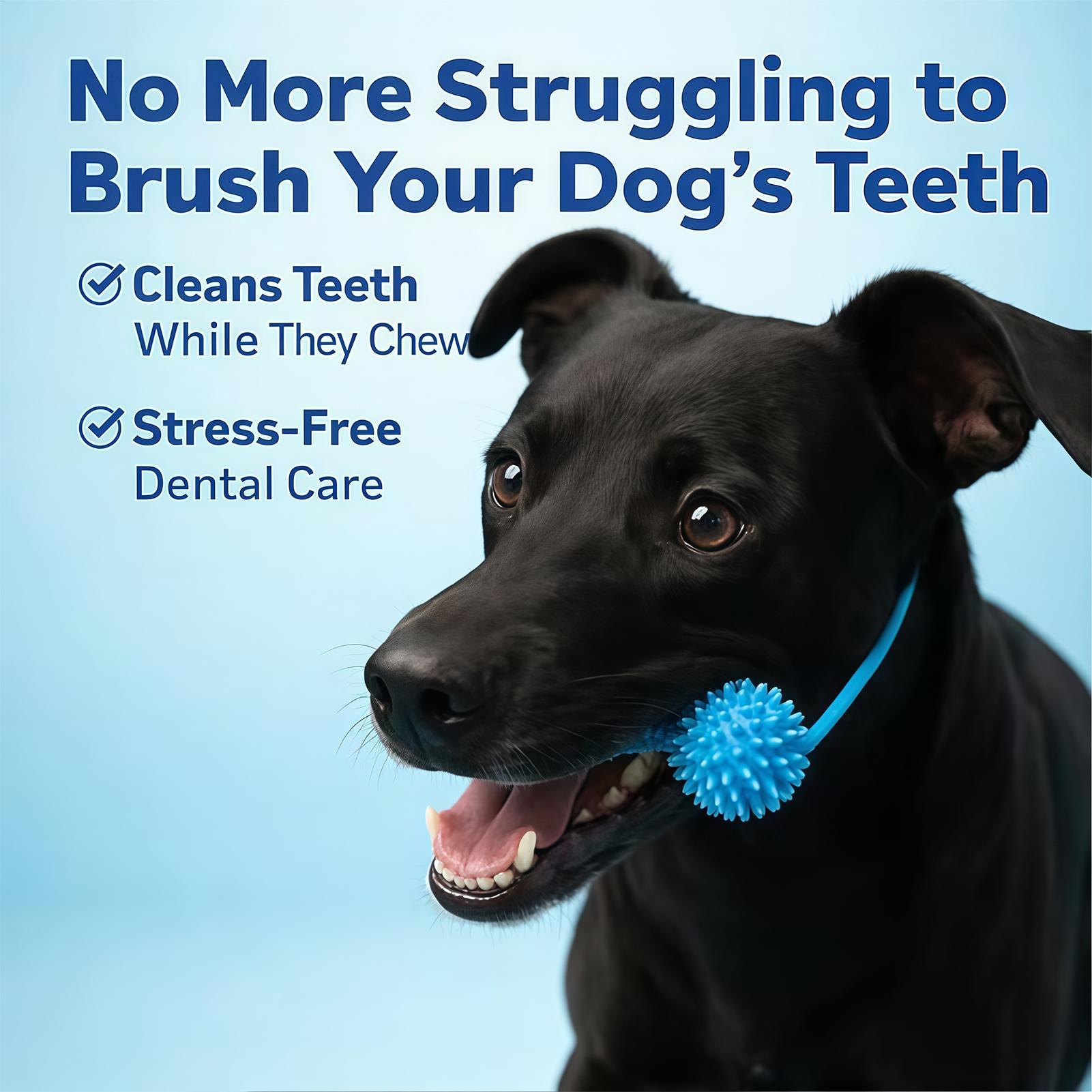 ของเล่นแปรงฟันสำหรับสุนัข ไม้ก - Rubber Treat Dispensing Dog Toy บทวิจารณ์และราคา