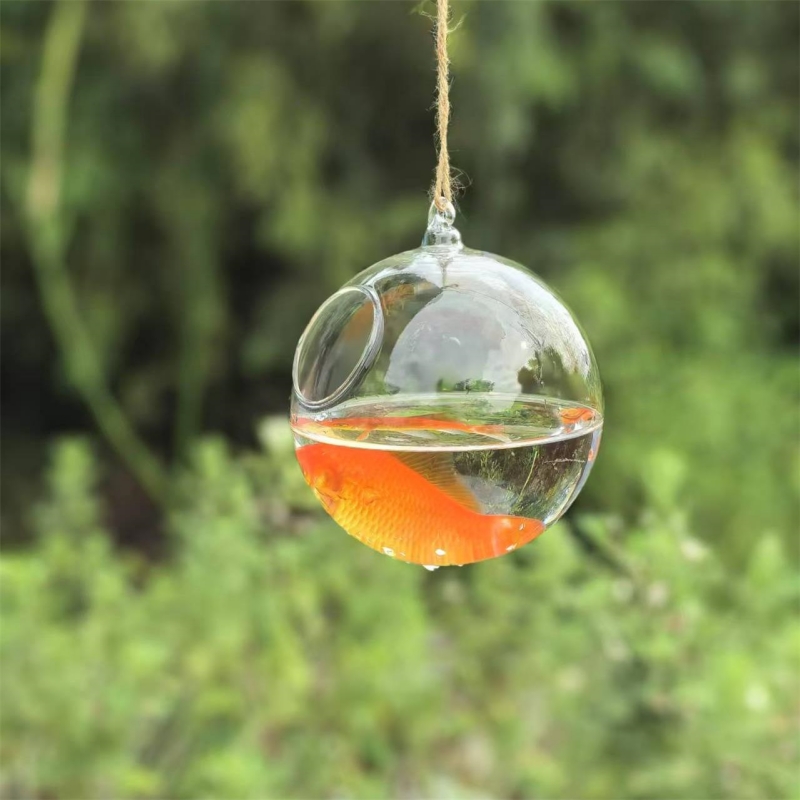 กระบอกแก้วใสขนาดเล็ก เส้นผ่านศ - Aquarium บทวิจารณ์และราคา