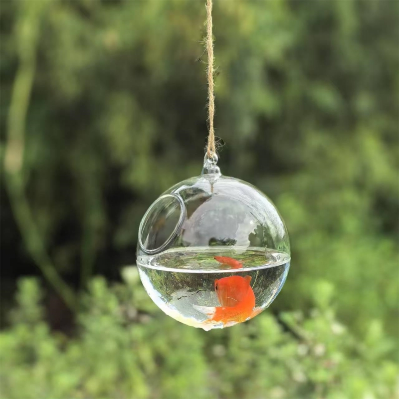 กระบอกแก้วใสขนาดเล็ก เส้นผ่านศ - Aquarium บทวิจารณ์และราคา