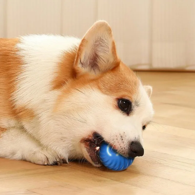 @1G-ลูกบอลของเล่นสัตว์เลี้ยง ล - Automatic Moving Dog Ball บทวิจารณ์และราคา