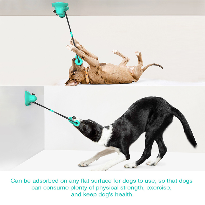 ของเล่นเชือกดึงสำหรับสุนัขแบบถ - Suction Cup Dog Tug Toy บทวิจารณ์และราคา