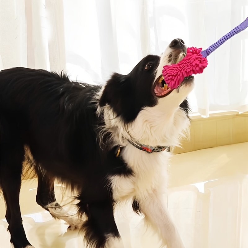 ของเล่นสุนัขที่ทนทานสำหรับสุนั - Suction Cup Dog Tug Toy บทวิจารณ์และราคา