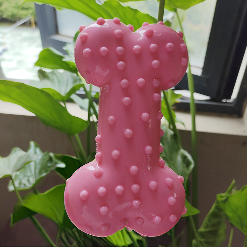 ของเล่นสุนัข ยาง ทำเสียงได้ ขอ - Teeth Cleaning Dog Chew Bone บทวิจารณ์และราคา
