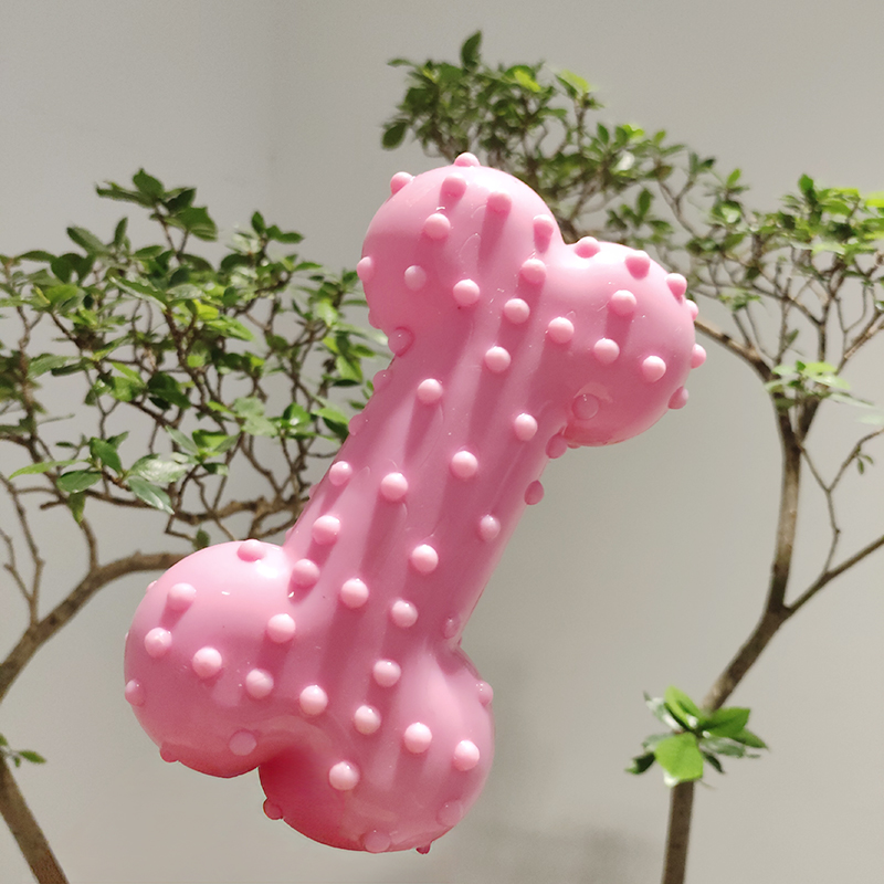 ของเล่นสุนัข ยาง ทำเสียงได้ ขอ - Teeth Cleaning Dog Chew Bone บทวิจารณ์และราคา