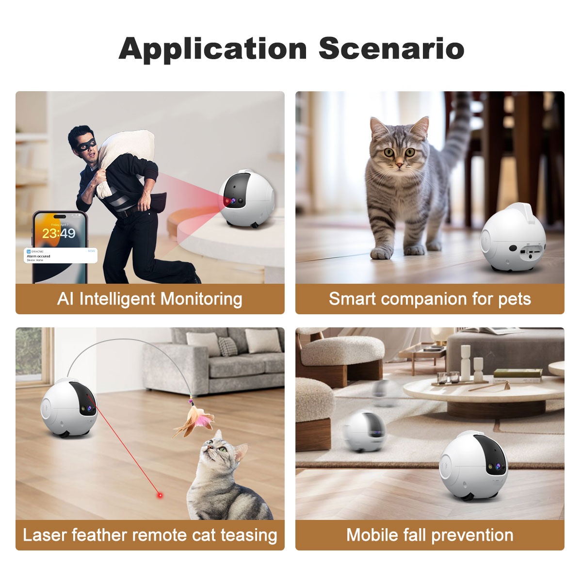 กล้องสำหรับสัตว์เลี้ยง รูปแบบห - Cat Toys บทวิจารณ์และราคา