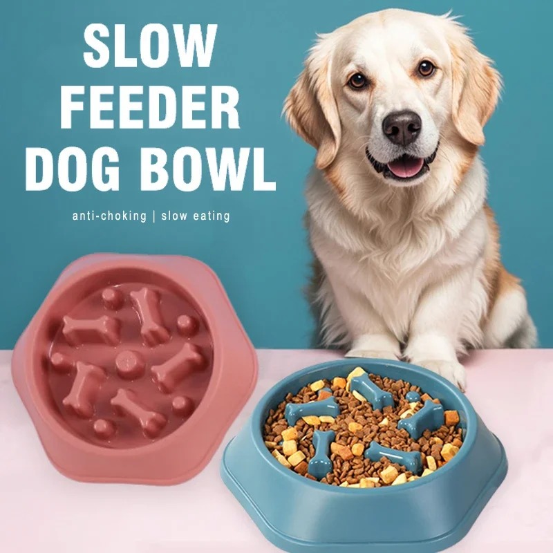 ชามอาหารสุนัขแบบป้อนช้า 1 ชิ้น - Dog Puzzle Feeder Toy บทวิจารณ์และราคา
